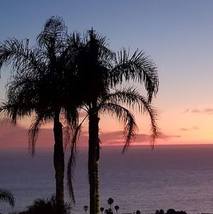 Meet your Posher, Joshua